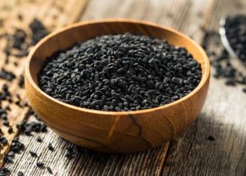 Obat Herbal Kolesterol: Alternatif Alami untuk Kesehatan Jantung