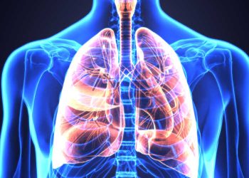 Obat Herbal Paru-Paru Basah