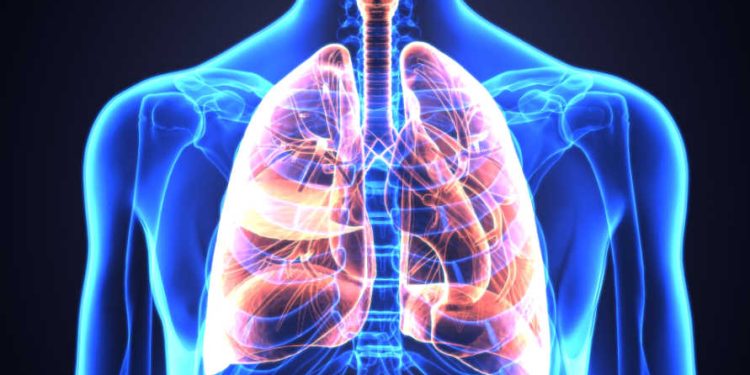 Obat Herbal Paru-Paru Basah